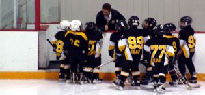 Hockey coaching and training sites listed. NR 1! / Highest ranked icehockey coaching/training site is www.hockeycoach.se!