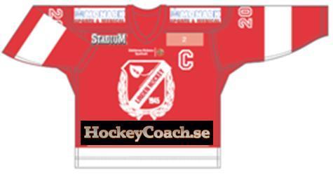 HockeyCoach.se sponsored player