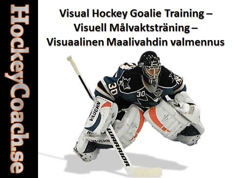 Visuaalinen Jääkiekko-Maalivahdin Valmennus